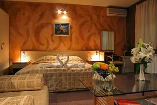 Отель Hotel Brod София Двухместный номер Делюкс с 1 кроватью-1