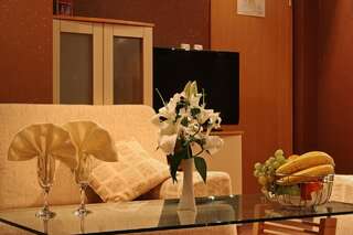 Отель Hotel Brod София Двухместный номер Делюкс с 1 кроватью-4