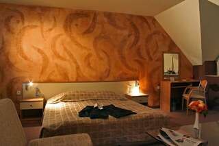 Отель Hotel Brod София Двухместный номер Делюкс с 1 кроватью-7