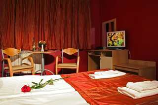 Отель Hotel Brod София Стандартный двухместный номер с 1 кроватью-5