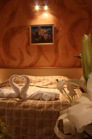 Отель Hotel Brod София Двухместный номер Делюкс с 1 кроватью-8