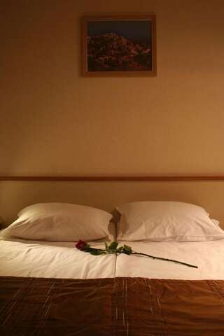 Отель Hotel Brod София Одноместный номер-17