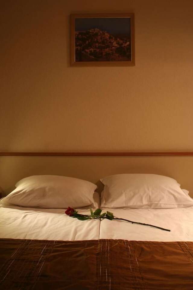 Отель Hotel Brod София-44